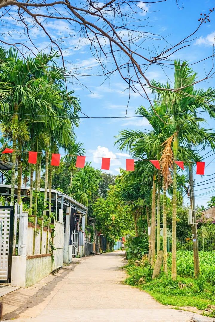 Bán đất Lạc Thành Tây, Đà Nẵng - 125m² giá 7xx triệu, trục chính thôn