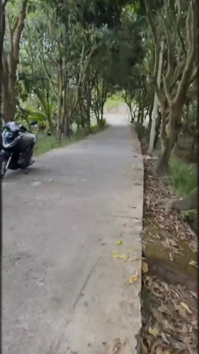 Đất trồng cây Phường 1 Cao Lãnh 4.500m² 1,8 tỷ - Đường ô tô