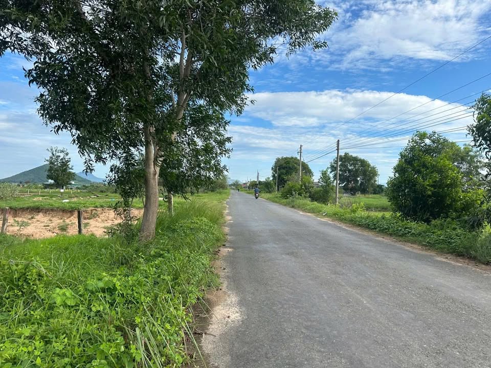 Đất nền mặt tiền Đinh Công Tráng, La Gi - 160m² chỉ 1.2 tỷ, sổ hồng