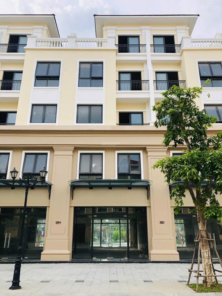 Shophouse Ocean Park 2 Gia Lam 100m² 19.8 tỷ - KD sầm uất