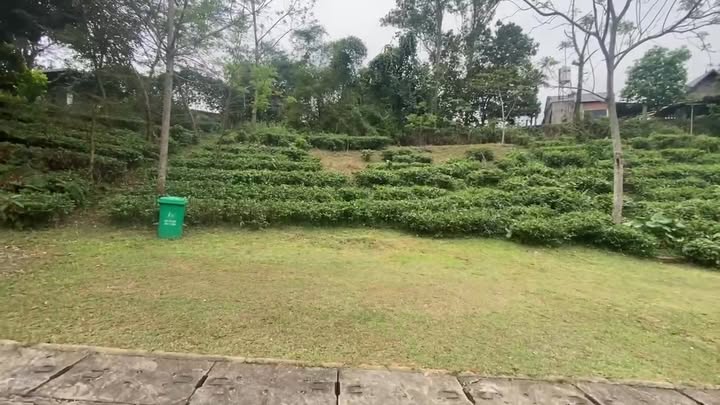 Bán Đất Villa Khoang Xanh Ba Vì 477m² - Sổ Đỏ, An Yên Nghỉ Dưỡng