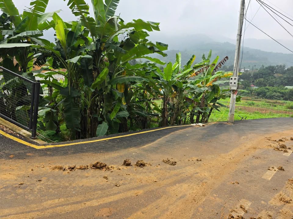 Đất Phú Cát Quốc Oai 50m² 88 triệu - Sổ đỏ chính chủ