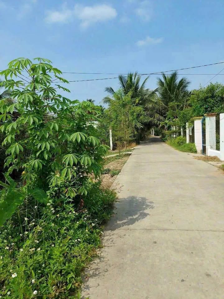 Bán đất Phường Bến Tre 148m² - Sổ hồng 100m² thổ cư, gần cầu Rạch Miễu 2