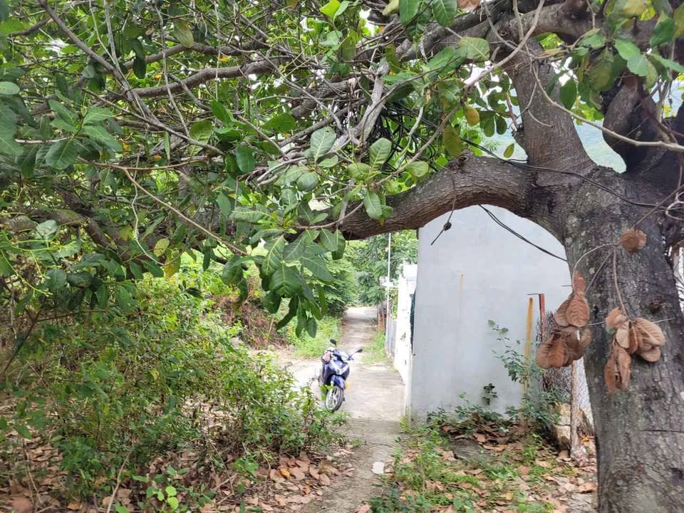 Đất nền Hẻm Ngô Văn Sở Nha Trang 89m² - Tiềm năng tăng giá!