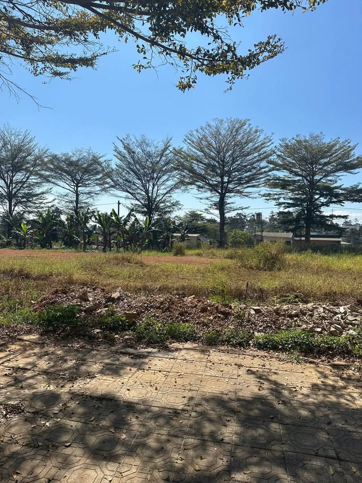 Đất thổ cư 90m² trung tâm Bảo Lộc - Sổ đỏ sẵn, giá 1.8 tỷ