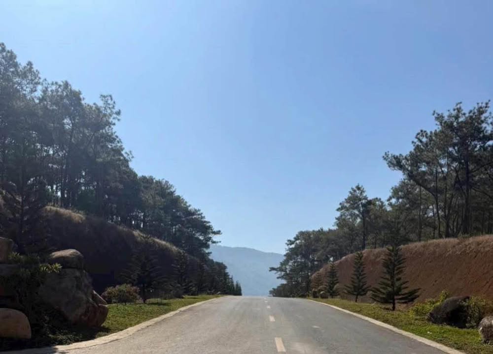 Đất Nền D'Ran Lâm Đồng 800m² - Hạ Tầng Hoàn Thiện!