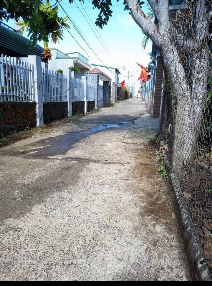 Đất nền Bảo Lộc 125m² - Sổ đỏ chính chủ, vị trí đắc địa!