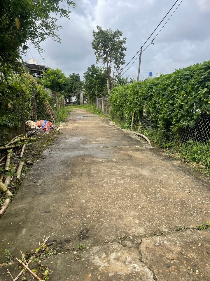 Đất nền Nam Phước Duy Xuyên 137.5m² - Sổ đỏ chính chủ