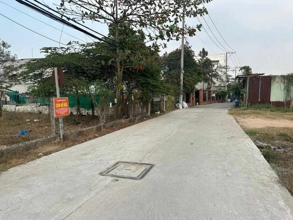 Đất Vàng Bình Chánh: 1446m² Sổ Đỏ Riêng, Mặt Tiền 7m - Đầu Tư Sinh Lời!