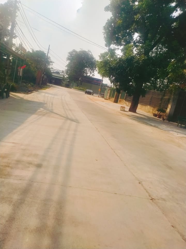 Bán Đất Tân Phong Quận 7 - 700m² Sổ Riêng, Giá 1.25 Tỷ - Cơ Hội Đầu Tư Vàng