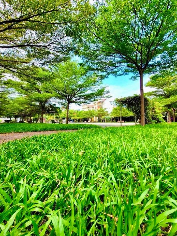 Nhà Đặng Thùy Trâm Bình Thạnh 52m² chỉ 11 tỷ - Xe hơi ngủ nhà!