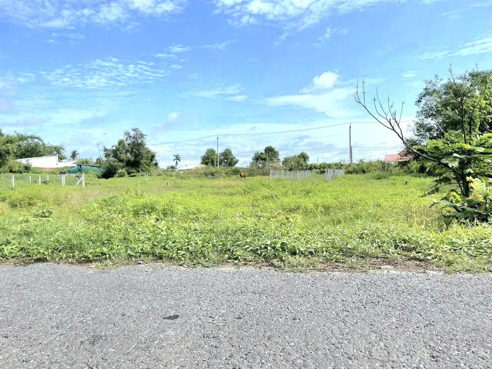 Đất thổ cư 135m² Gò Dầu, sổ sẵn - Giá 5xx triệu