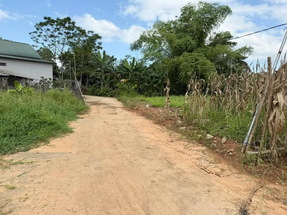 Đất nền An Tường Tuyên Quang 145m² - Sổ đỏ chính chủ, ô tô đỗ cửa!