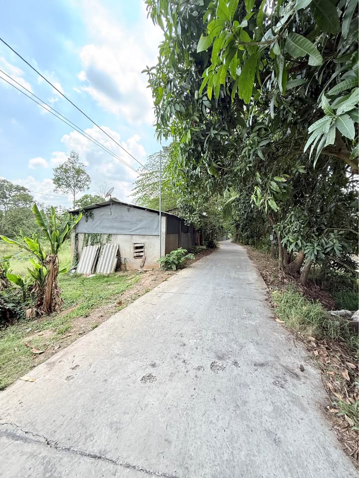 Đất Vàng Cao Lãnh 6059m² - Gần Sở Tư Pháp, Tiềm Năng TMD Vượt Trội