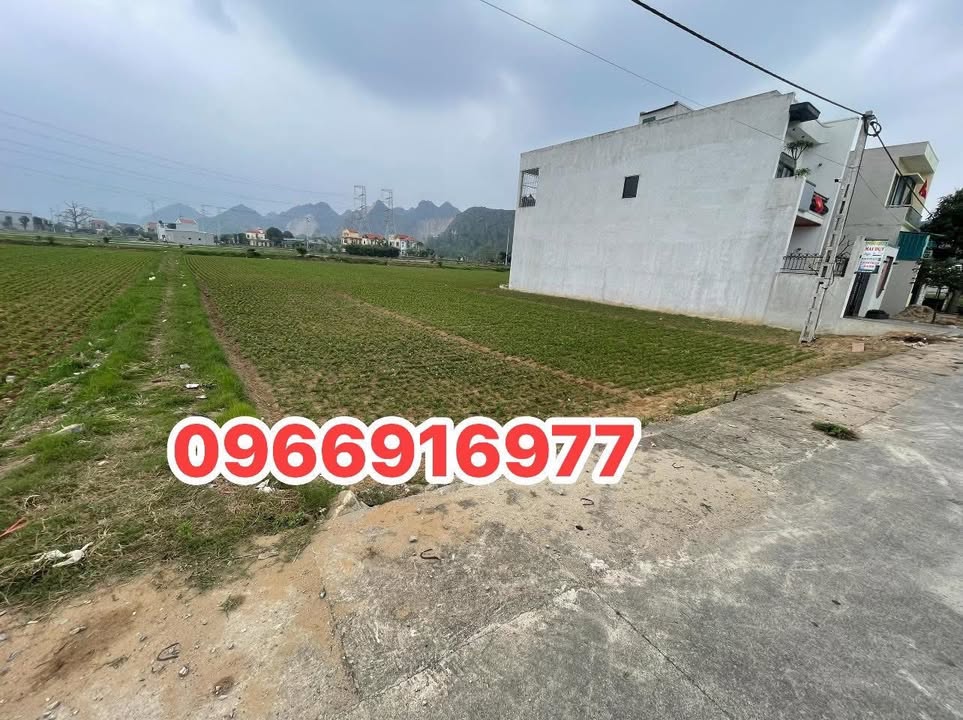 Bán Đất Lạn Dài, Nga An 100m² Hướng Đông - Vị Trí Vàng Đầu Tư