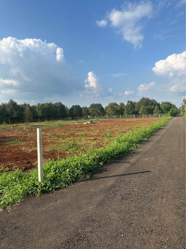 Đất nền Long Khánh 110m² giá 800 triệu - Sổ đỏ chính chủ!