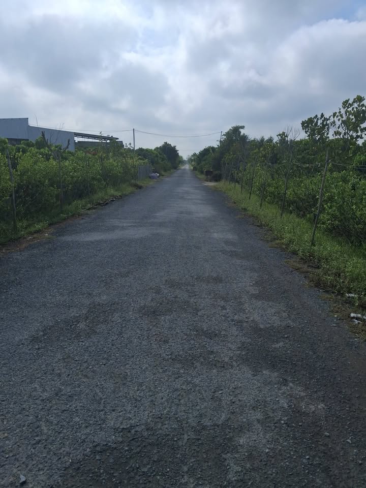 Bán 1080m² đất trồng nhãn, đường ô tô, Xã Trường Hòa, Phong Điền - 1.4 tỷ