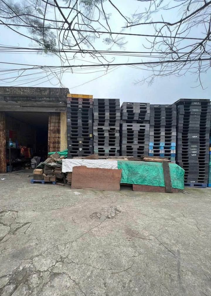 Đất nền mặt đường Nguyễn Bỉnh Khiêm 320m² – Tiềm năng tăng giá!