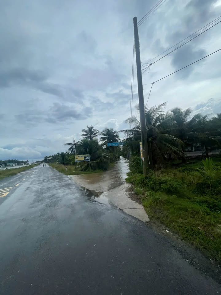 Bán Đất Nền 38400m² Phường 6, Bến Tre - Giá Tốt Đầu Tư