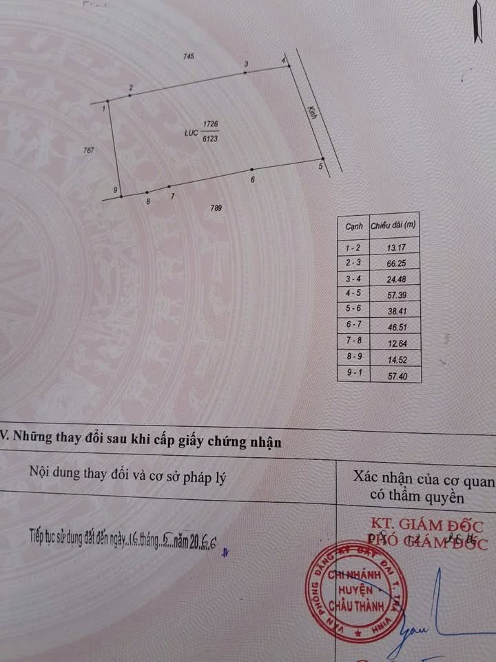 Bán Gấp Đất Vườn Vĩnh Long 6123m² Mặt Tiền Kênh - Sổ Hồng Sẵn