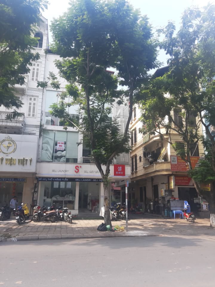 Cho thuê nhà mặt phố Trần Quốc Hoàn, Cầu Giấy - 60m² x 4 tầng, kinh doanh sầm uất