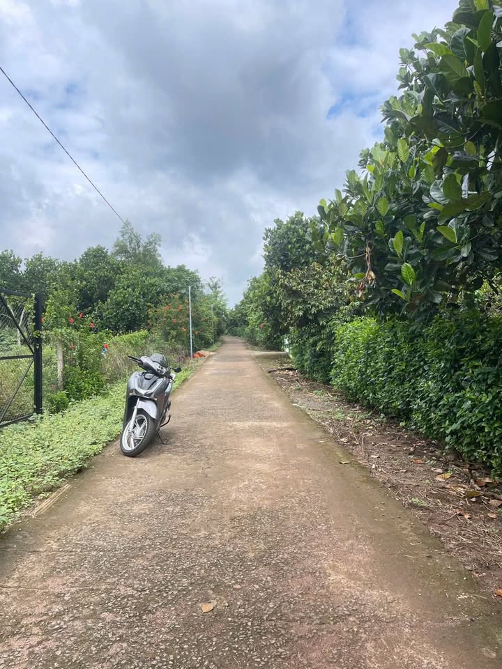 Đất nền Long Khánh 1065m² - Sổ đỏ chính chủ, xây dựng tự do!