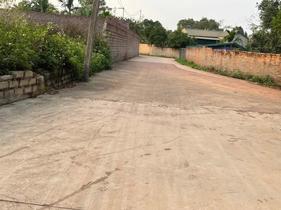 Đất nền Tân Thanh, Lạng Giang 400m² - Sổ đỏ thổ cư, giá chỉ 1.1 tỷ