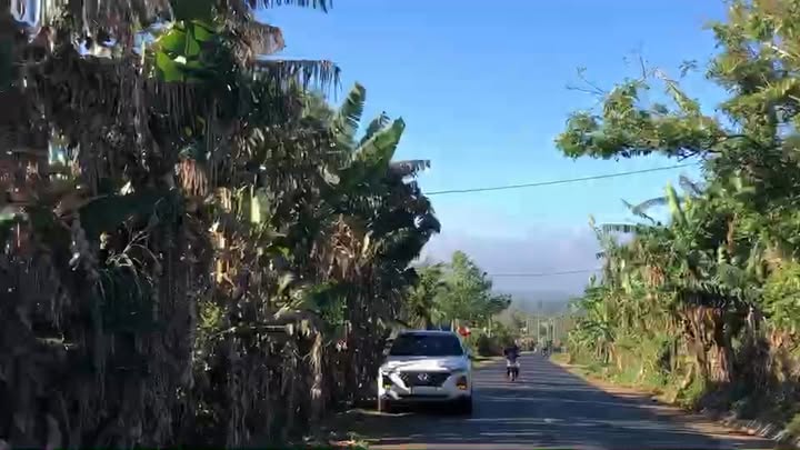 Đất Vườn 2274m² Tỉnh Lộ 8B Khánh Vĩnh - 40 Cây Sầu Riêng Kinh Doanh Hái Ra Tiền