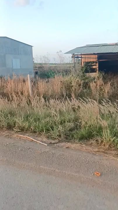 Đất nền Ea Súp Đắk Lắk 300m² chỉ 235 triệu - Tiềm năng tăng giá!