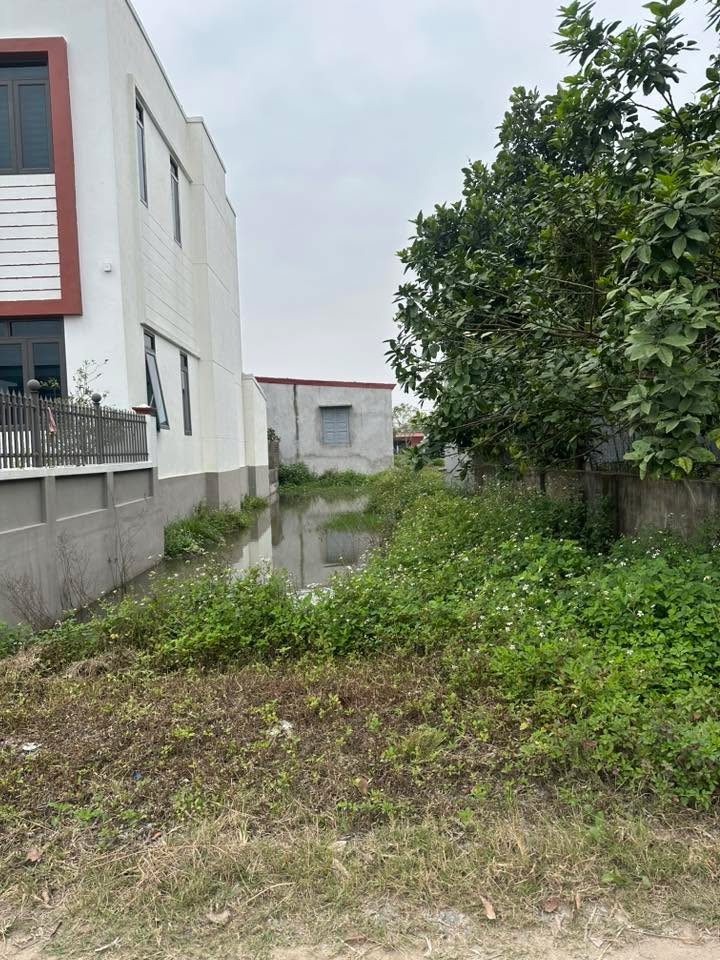 Đất nền 125m² Khánh Mậu, Yên Khánh - Tiềm năng tăng giá hấp dẫn!