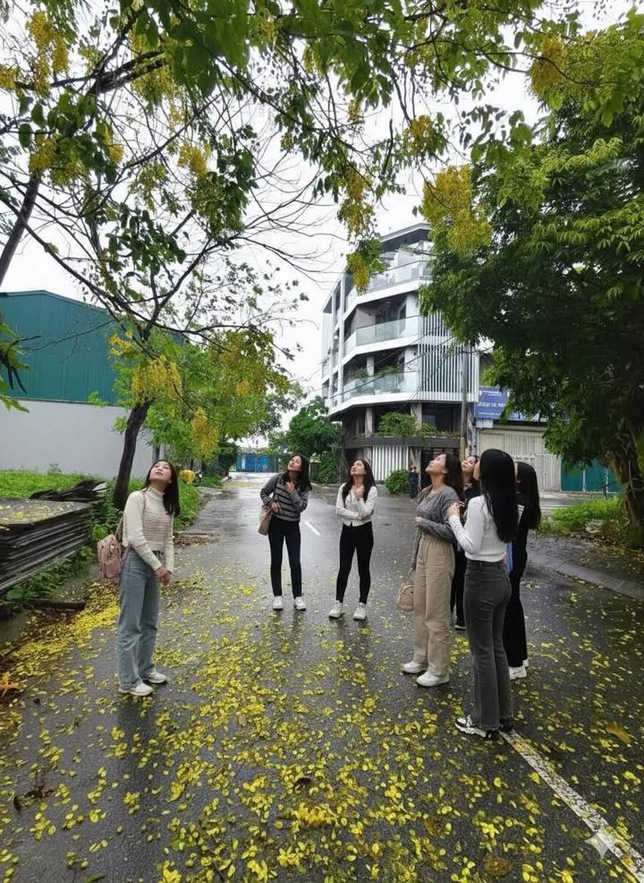 Bán Đất Nền 60m² Mặt Tiền Rộng - Ngọc Hồi, Thanh Trì, Hà Nội