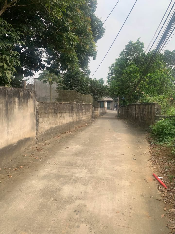 Đất Vàng Phường An Tường, Tuyên Quang - 360m² - Sổ Đỏ Sẵn Sàng