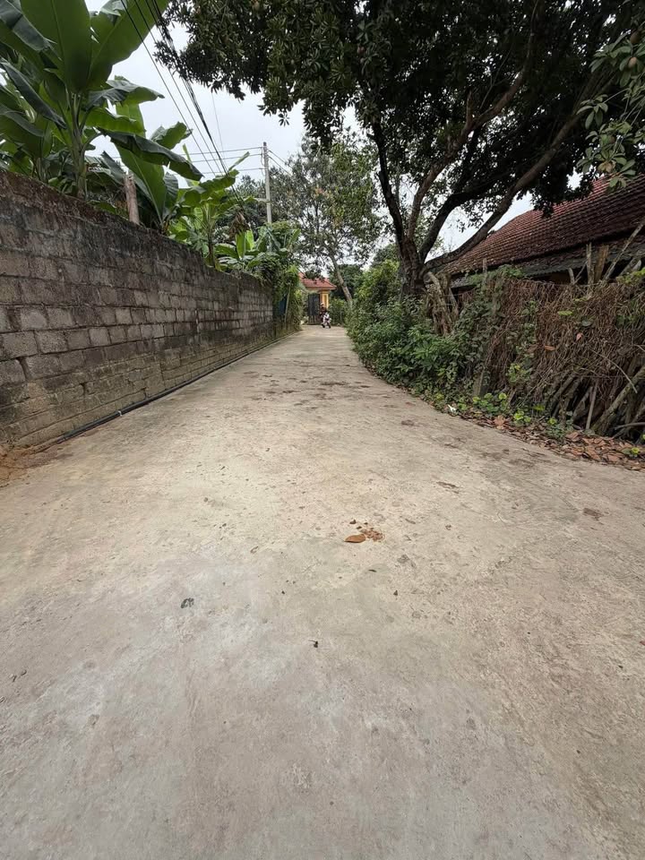 Bán đất Xã Trung Môn, Yên Sơn 270m² - Sổ đỏ, ô tô vào tận nơi