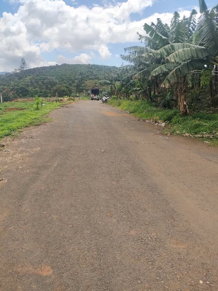 Đất vườn Tân Lạc 1.999m² giá 1.4 tỷ - Nghỉ dưỡng lý tưởng