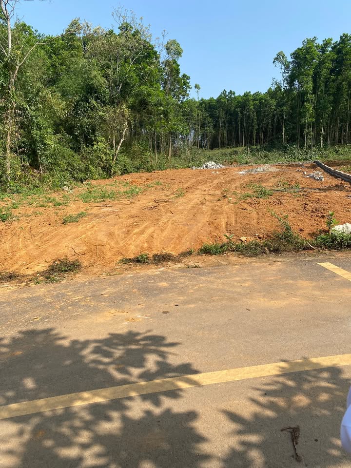 Đất nền Hội Tiến 2, Quỳnh Lưu, Nho Quan 348m² - Tiềm năng tăng giá vượt trội!