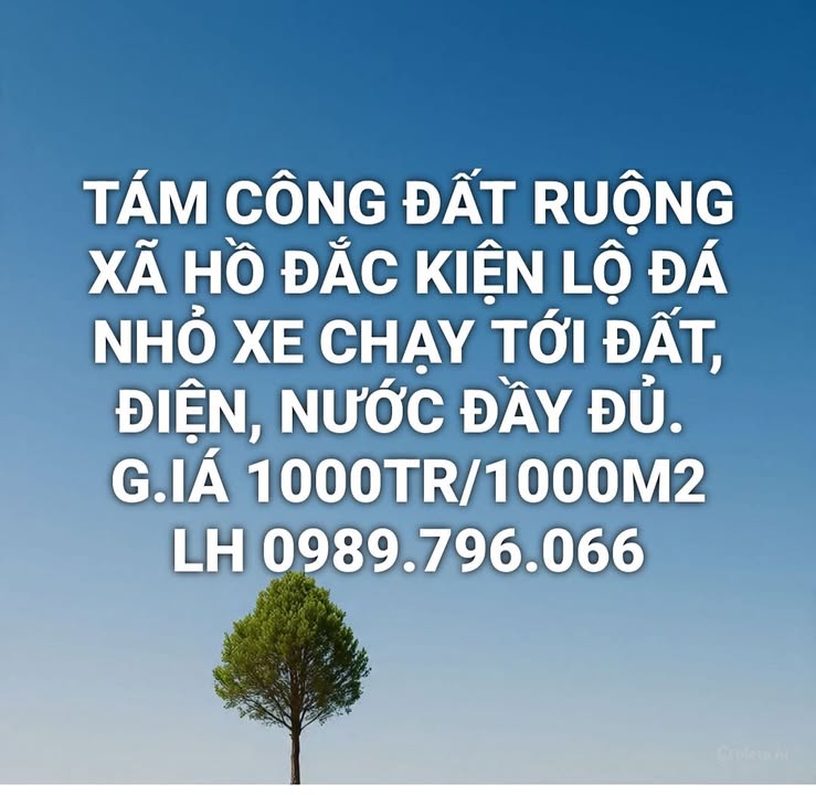 Đất Sóc Trăng 1000m² - Sổ Đỏ Sẵn Sàng, Xe Hơi Tới Đất