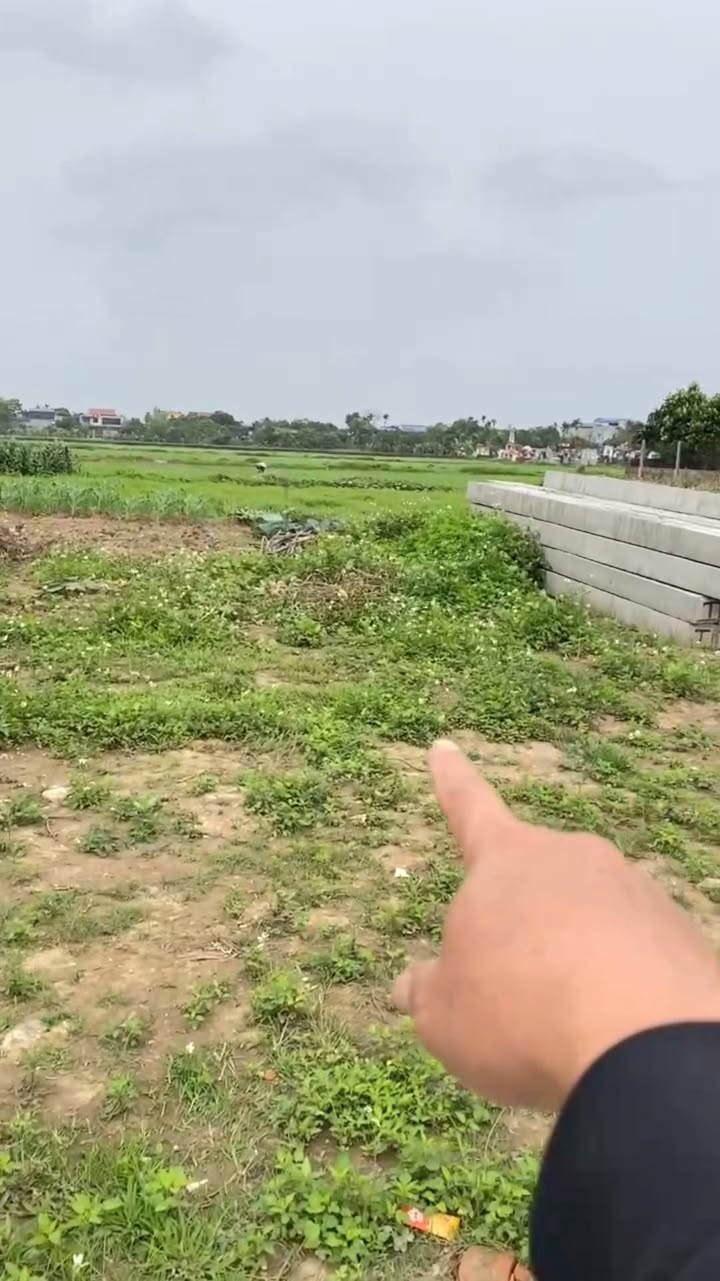 Đất nền Thái Bình 100m² - Pháp lý rõ ràng, tiềm năng sinh lời!