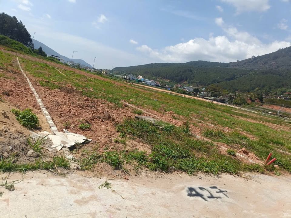 Đất Nền Đức Trọng 165m² Gần Đà Lạt - Sổ Đỏ, Đường 8m Oto