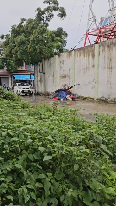 Đất nền 100m² QL38 Thuận Thành – Tiềm năng tăng giá vượt trội!