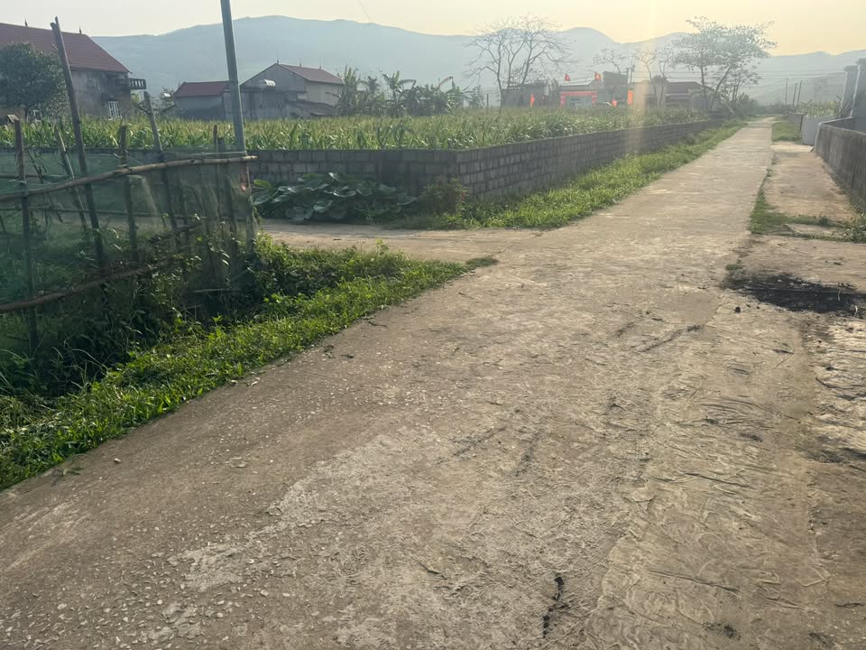 Đất nền Nông Cống, Thanh Hóa 1200m² chỉ 2xx triệu - Tiềm năng tăng giá!