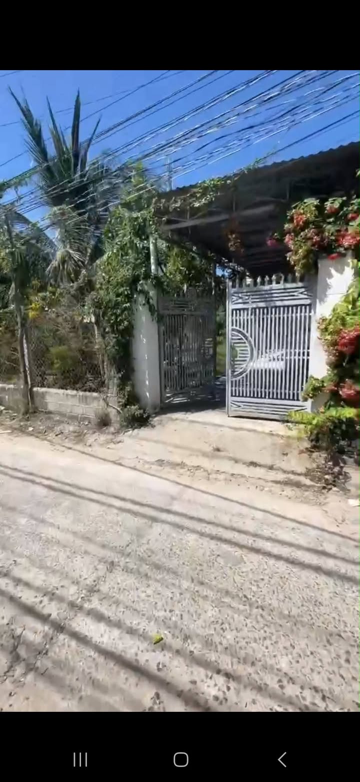 Bán Đất Vườn 506m² Mặt Tiền Su Hào, Văn Hải, Phan Rang - Giá Tốt