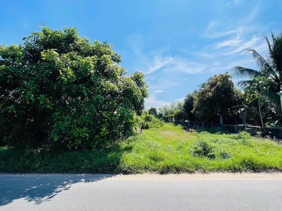 Bán Đất Mặt Tiền Trương Thị Kiện, Củ Chi - 292m² Thổ Cư, Giá 2.4 Tỷ