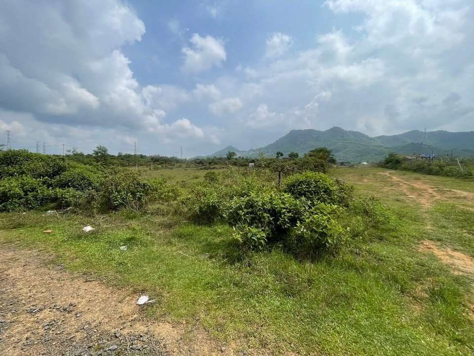 Đất nền Hòa Ninh Đà Nẵng 1712m² 14.5 tỷ - Sổ đỏ chính chủ