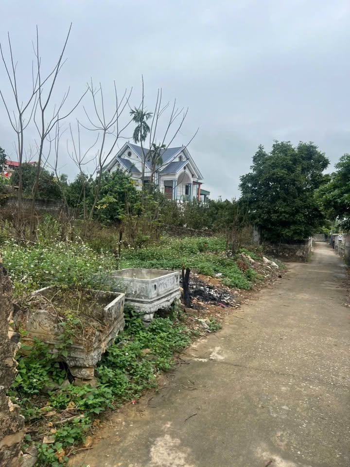 Đất nền Xã Thượng Lan, Việt Yên, Bắc Giang - 100m², Mặt tiền 5.5m, Giá chỉ từ 7 tỷ