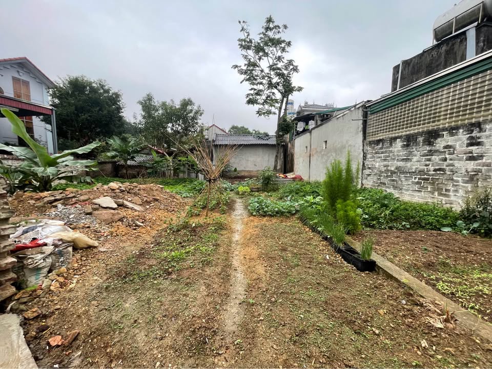 Đất nền Hưng Thái, Đồng Hỷ 183m² - Đường to ô tô, tiềm năng lớn!