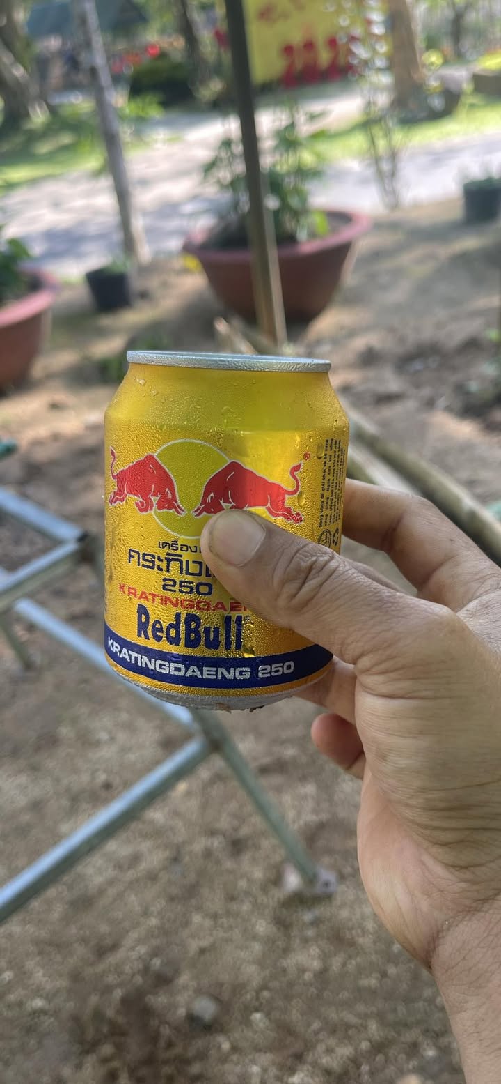 Bán Đất Vườn 1500m² Khánh Nam, Khánh Vĩnh - Sổ Đỏ Sẵn Sàng