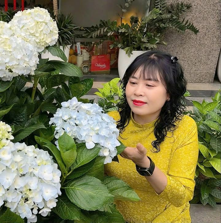 Đất Nền Tân Yên 151.7m² - Mặt Tiền Rộng 16.4m - Giá 7xx Triệu