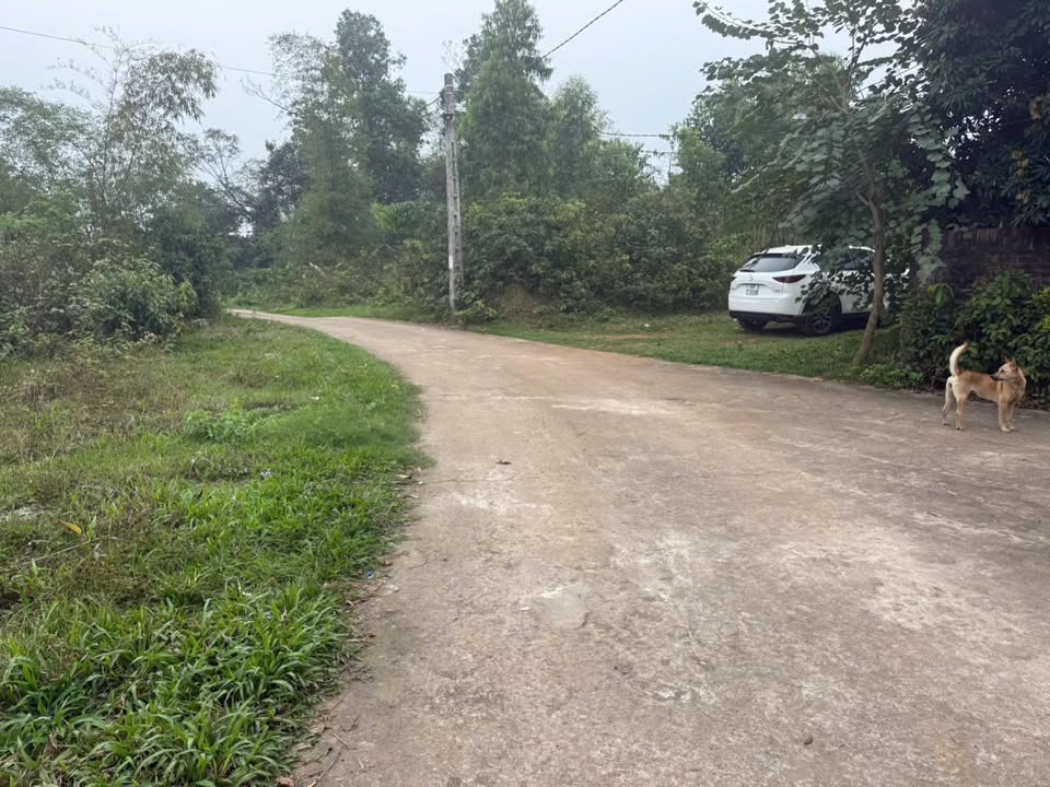 Đất nền Đắc Sơn Phổ Yên 1166m² - Đất thổ cư 100%!