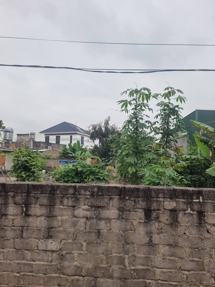 Đất nền Phường Văn Đức, Chí Linh 221m² giá 1 tỷ - Tiềm năng tăng giá!