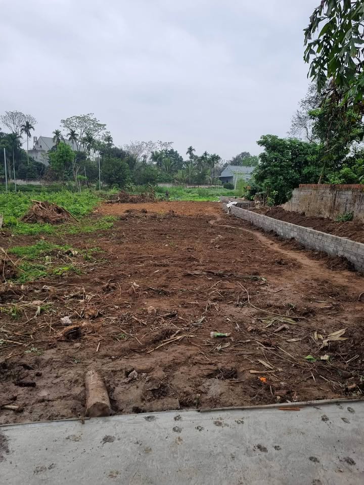 Đất nền Phường Phố Cò, Sông Công 400m² - Sổ đỏ chính chủ!